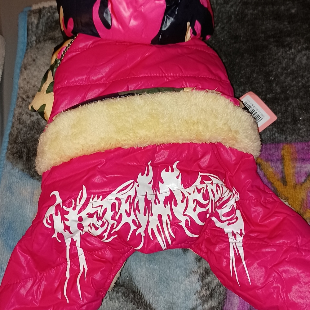 Pet coat